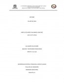 Informe Ergonomico Taller mic mac