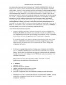 Desarrollo del caso práctico “Plusperu corporation”