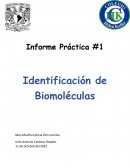 Identificacion de biomoleculas