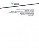 Principios de bienestar y felicidad