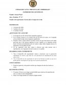 Teoría sobre el origen de la vida