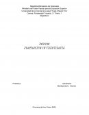 Informe evaluacion en fisioterapia