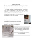 Museo Franz Meyer