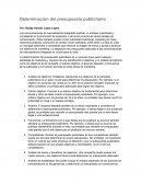 Determinación del presupuesto publicitario