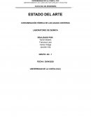 Contaminación hídrica de las aguas costeras