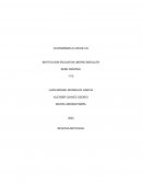 Chatarreria flor de lis