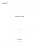 Investigación sobre los modelos económicos