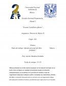 Opinión personal del libro: “México profundo”