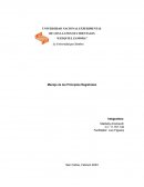 Manejo de los Principios Registrales