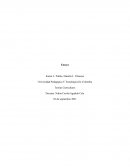 Teorías Curriculares