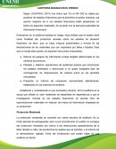 AUDITORIA BASADA EN EL RIESGO