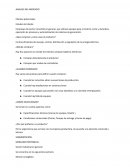 ANALISIS DEL MERCADO Clientes potenciales