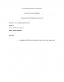 Fundamentos de Biología de la Conservación. Phaeoptila sordida