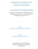 Estudio de los Sistemas Informáticos de la empresa Acueductos y Alcantarillados de Colombia S.A. E.S.P. “ACUALCO”