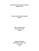 BUENAS PRÁCTICAS GANADERAS E INOCUIDAD (SEMINARIO FINAL)