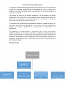 Comportamiento organizacional. Modelos de CO