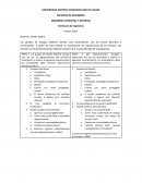 Ensayo seminario de ingenieria