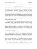 Las etiquetas son necesarias para la organización del conocimiento, pero también limitan nuestra comprensión