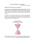 Cónicas, características y como encontrarlas