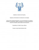 Cadena de valor Toyota