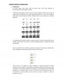 Informe personal: numeros maya