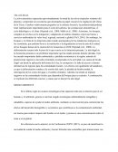 TALA ILEGAL Y MEDIO AMBIENTE