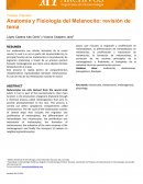 Anatomía y Fisiología del Melanocito: revisión de tema