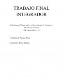 Psicóloga del Desarrollo y el Aprendizaje II - Escuela y Diversidad cultural