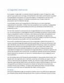 La inseguridad y delincuencia