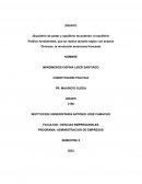 ENSAYO CONSTITUCION POLITICA