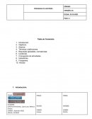 Programa de auditoría