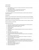 CUARTA SEMANA EMBRIOLOGÍA