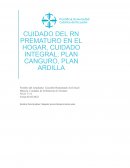 Cuidado del rn prematuro en el hogar, cuidado integral, plan canguro, plan ardilla