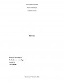 Informe Tiendas Farmatodo