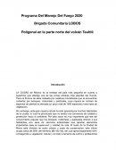 Programa Del Manejo Del Fuego 2020, Brigada Comunitaria LOBOS
