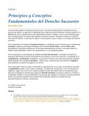 Principios y Conceptos Fundamentales del Derecho Sucesorio