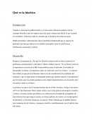 ¿Qué es la bioética?