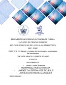 Manejo y cuidado del microscopio- Aplicaciones del microscopio