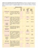 ¿Cuáles son las características del sector del calzado femenino?