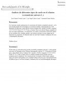 Análisis de diferentes tipos de suelo en el cilantro (coriandrum sativum L.)