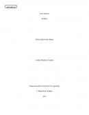 Contenidos de Sostenibilidad GRI 2020 FEMSA