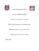 Actividad de aprendizaje 4. NIF A2 Postulados básicos