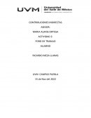 Contribuciones indirectas foro