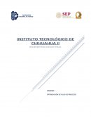 Unidad I Optimización de Flujos de Procesos