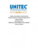 Modelos y procesos productivos