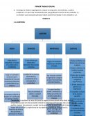 Taller de repaso: auditoria