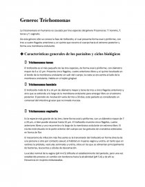 Trichomonas. Página 1