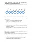 ¿Cuáles son los procesos de gestión del riesgo que el director de proyecto ha debido llevar a cabo para desarrollar su plan de acción?