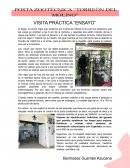 Hospital Veterinario para Grandes Especies