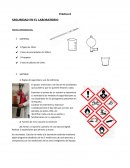 Práctica 0 Seguridad en el laboratorio